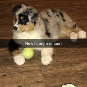 New Family Member!